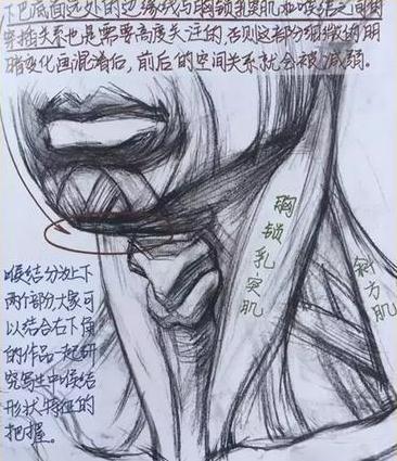 美院老师素描教学手稿——美术生画素描头像如何处理好头颈肩关系