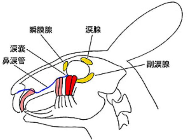 47e615f9d07d696cfb0ce1f7beb4468819f2dbb4.jpg