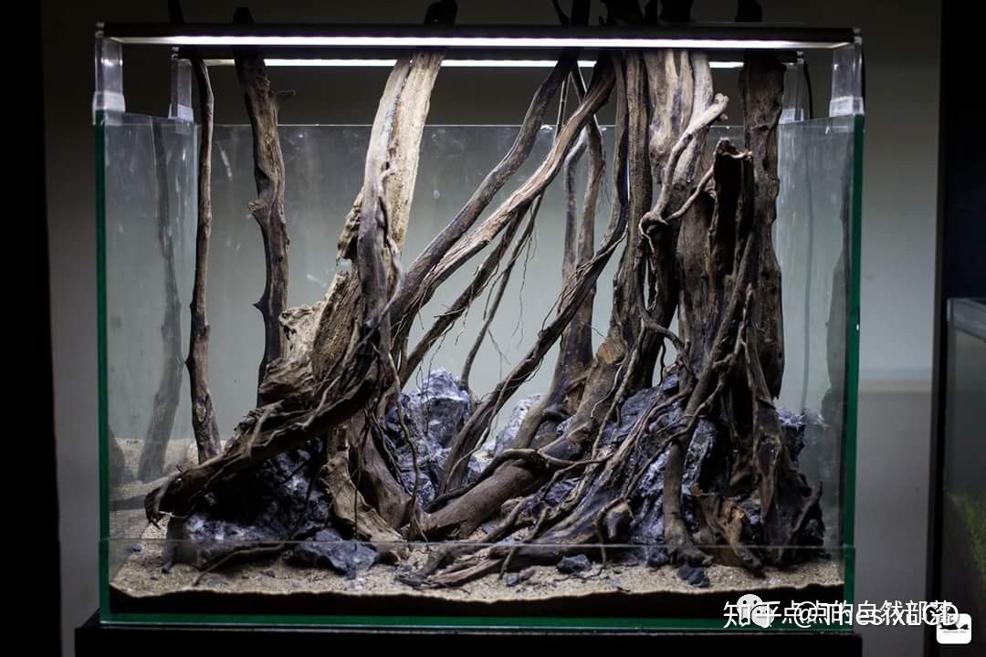 草缸从零开始一些常见的造景素材
