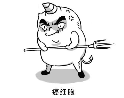 不过你不用太担心 癌细胞的诞生概率很低 而且还会被 「免疫细胞」盯