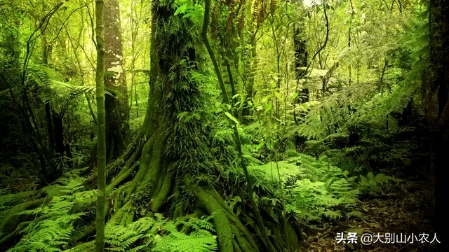 488088f4c9c0badc0f795b93191e043ac65b5923.jpg