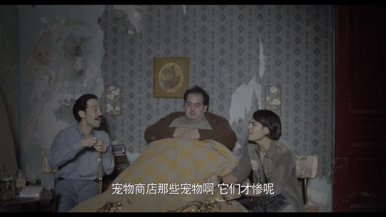 《行走距离》 任性影评