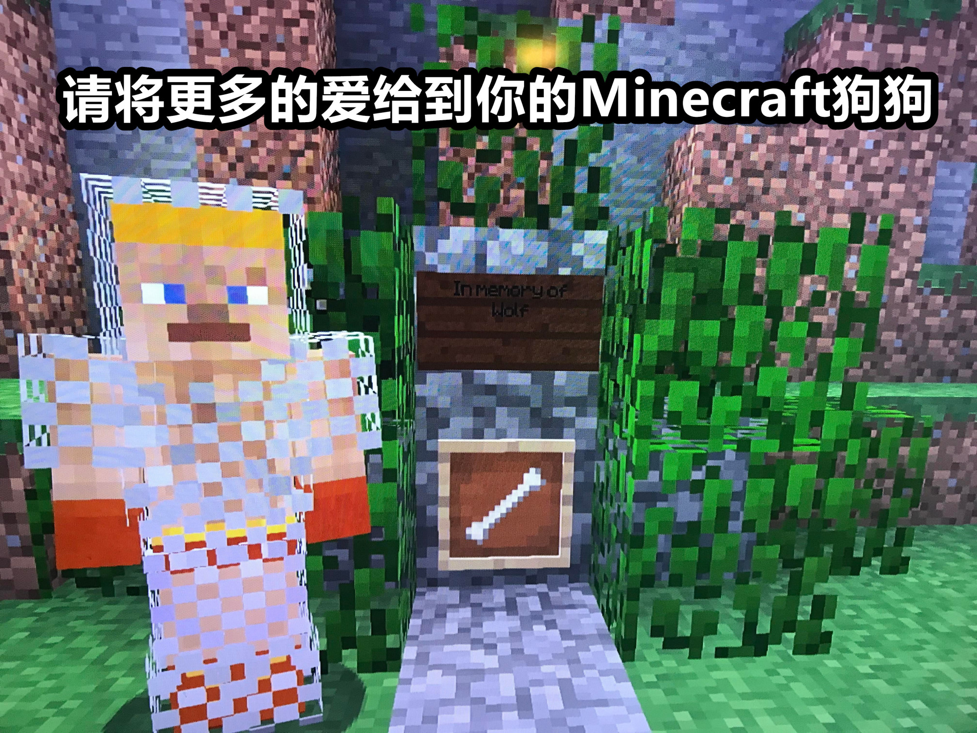 我的世界:玩家纪念死去的狗狗,一座座坟墓,让人泪目!