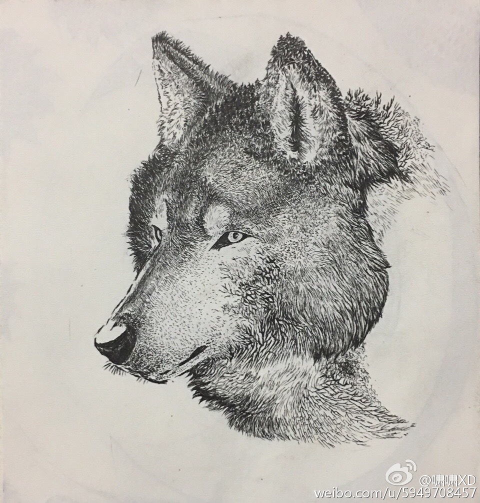 furry獣兽图vi特推画师啸啸xd