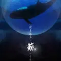 图标
