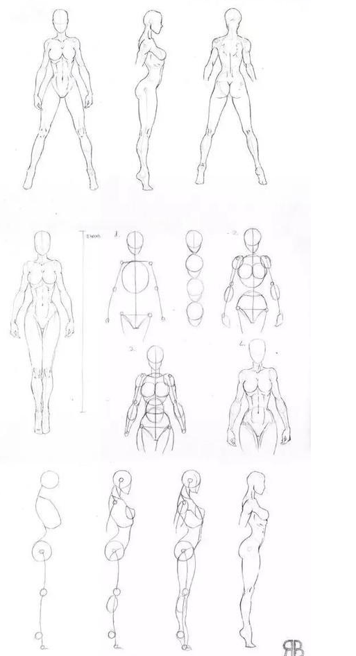 人体结构怎么画简单详细的人体结构教程