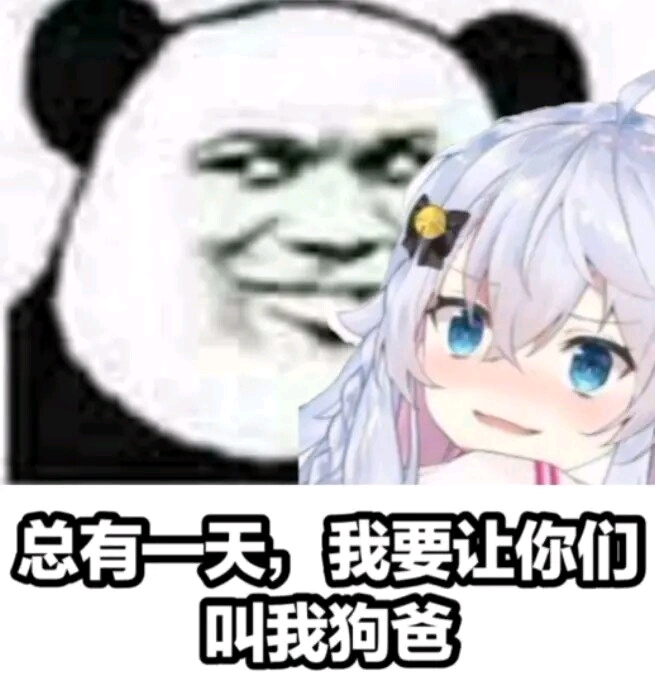狗妈表情包