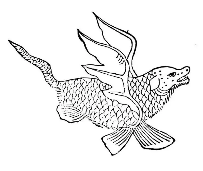 山海经（3）：三栖明星鯥鱼