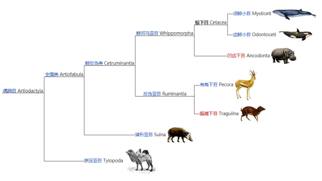 4aadfcfa3a850bf360c19cd239493f8dc8f00d7b.png