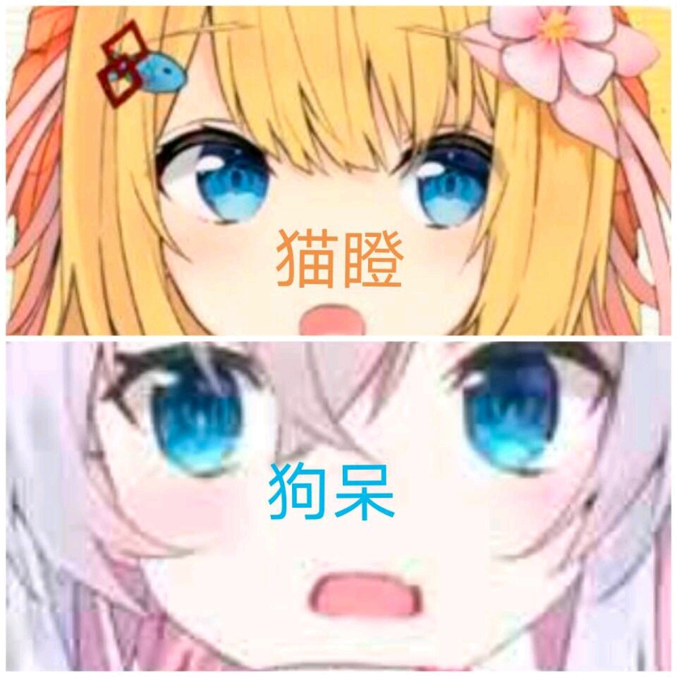 狗妈实用表情包(2)