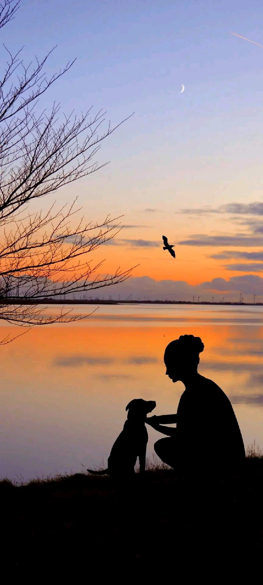 生死人生矛盾 4aeca8c640f76d64231003a6d49dcee2795c9815.jpg