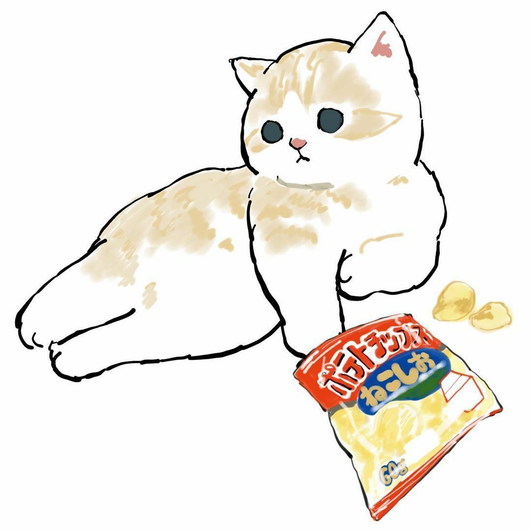 二次元精美头像更新小众猫猫第31期