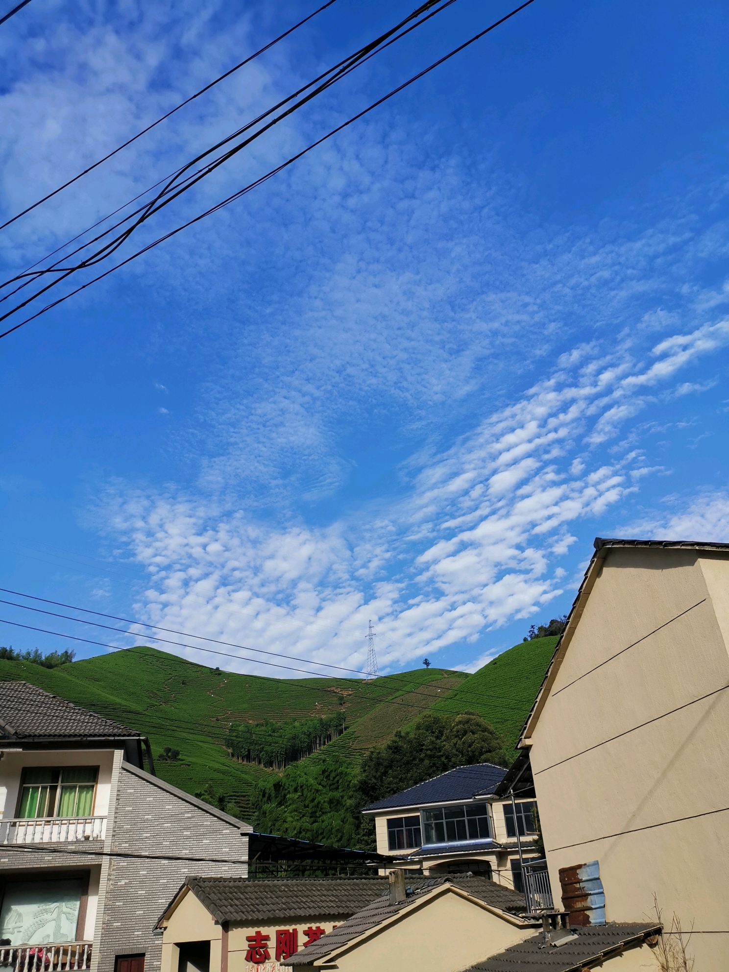 家住安吉溪龙黄杜村,每天都要来到山上看看这万亩茶园的秀美风光,顿时