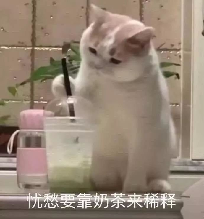 【正片开始】