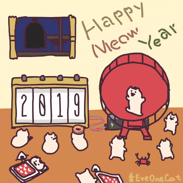 日本这只沙雕猫的动图,真是又傻又可爱!前方高能.