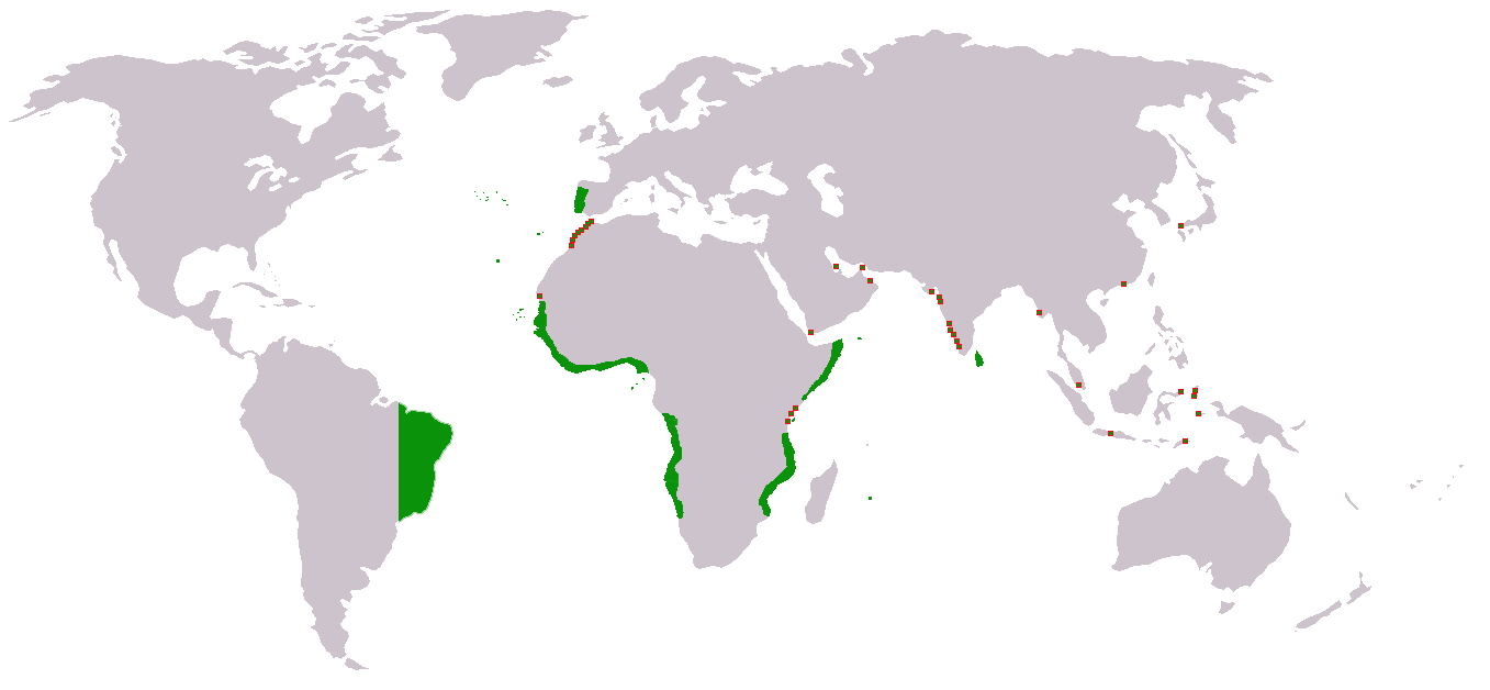 16世纪中叶的葡萄牙殖民帝国,注意其在波斯湾和东非的殖民扩张