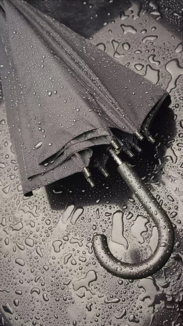 3·孤独的执伞人在雨中只有手中的伞,而我淋雨人即便孤独却有万千雨滴