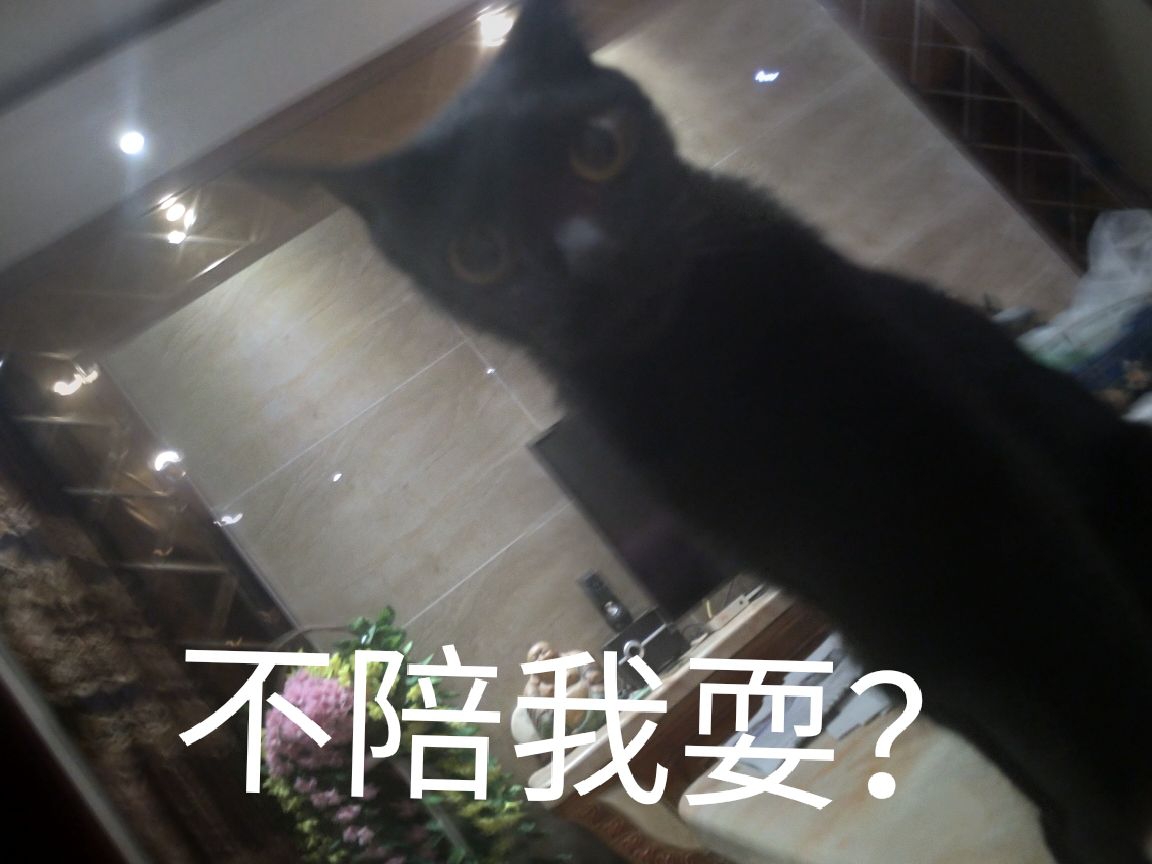 【蛋蛋的表情包】主子生气了