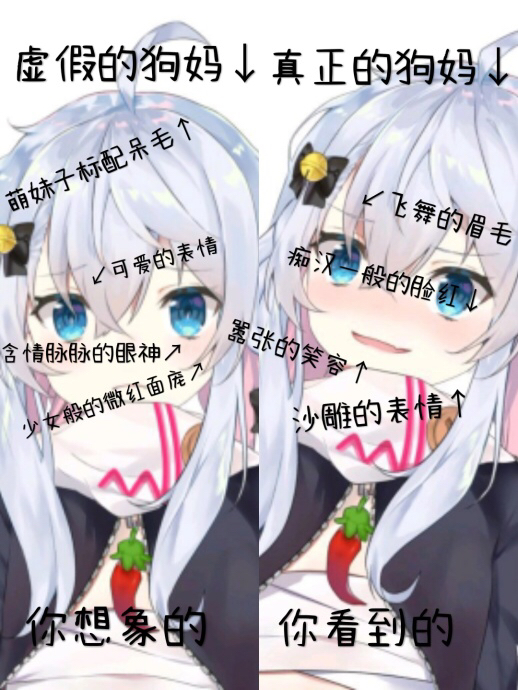 狗妈表情包大全1