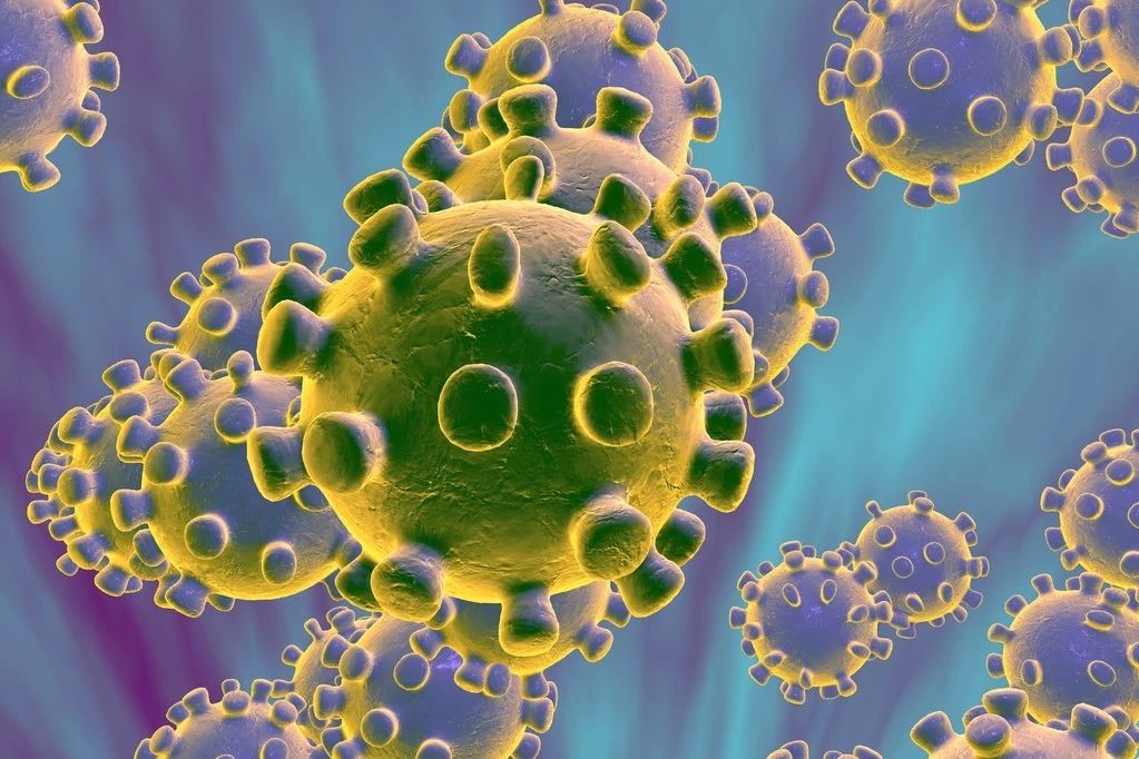 mers病毒(冠状病毒的一种,这类病毒周围就像有一个小皇冠)显微图像