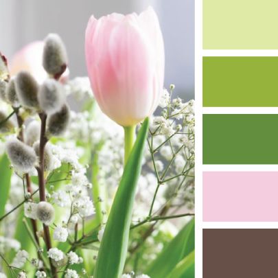 柔和色系和莫兰迪色系哪个更鲜艳 4c90f393d2dfada13befa6c76b8a30558812b820.jpg