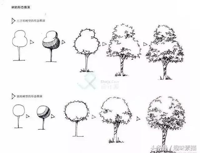 练完这些植物手绘，麻麻再也不用担心我画不好风景速写啦!
