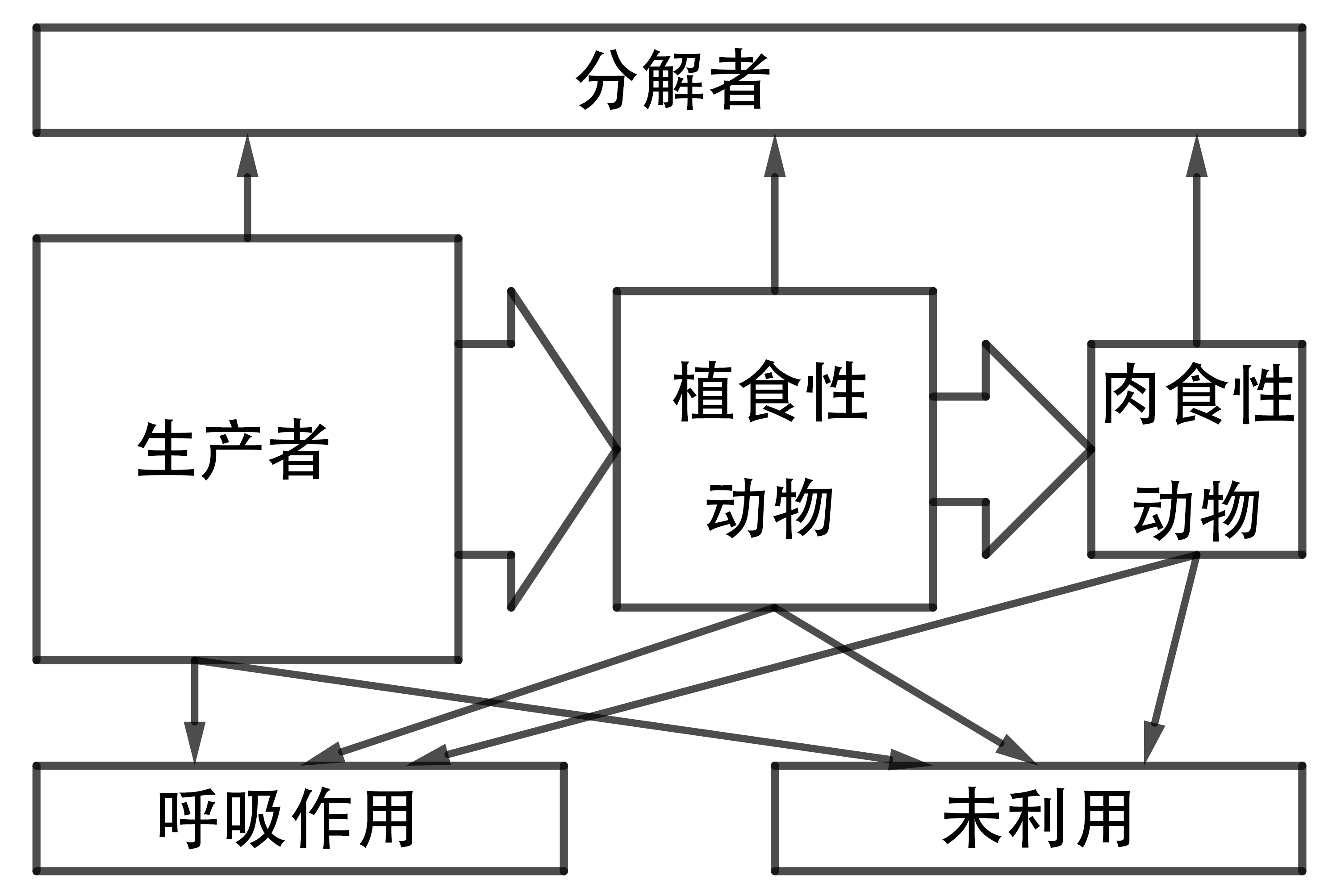 高中生物必修三重要流程示意图