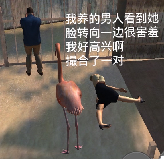 火烈鸟的沙雕小故事13