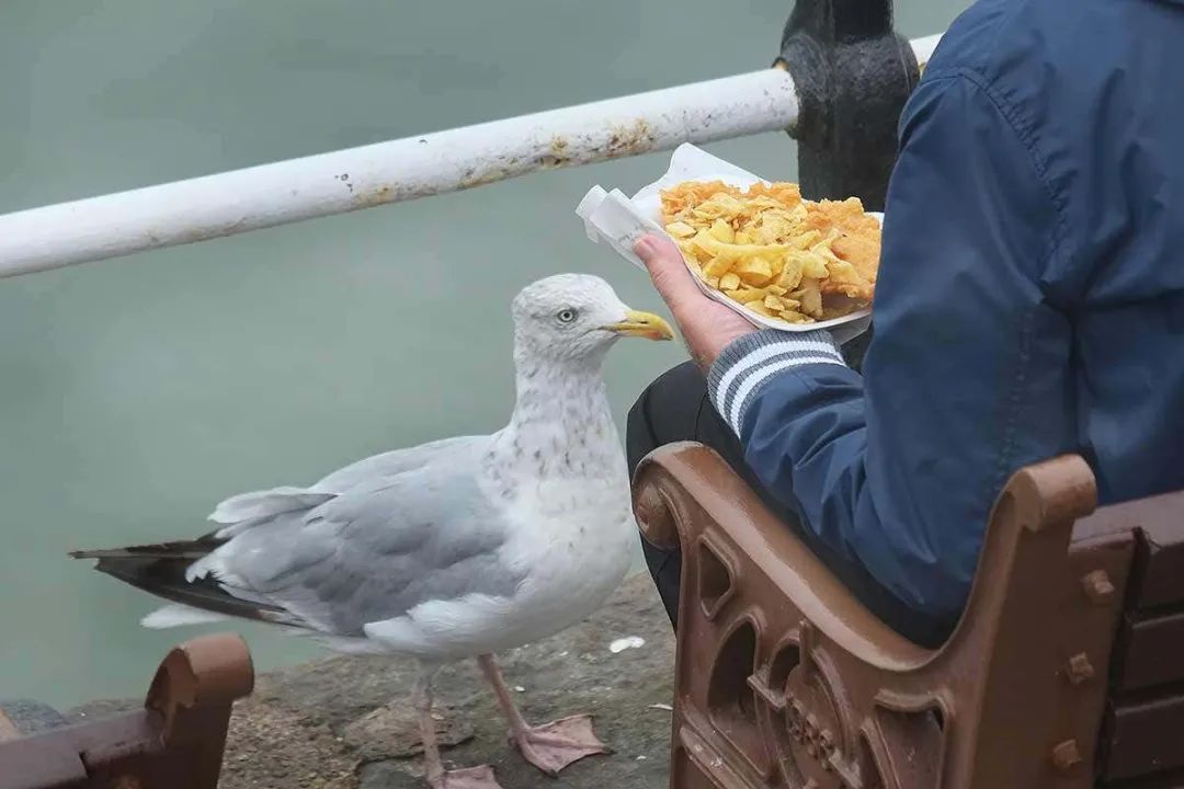 去码头整点薯条吧