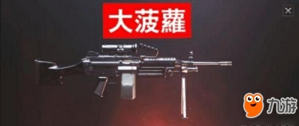 m249(大菠萝)