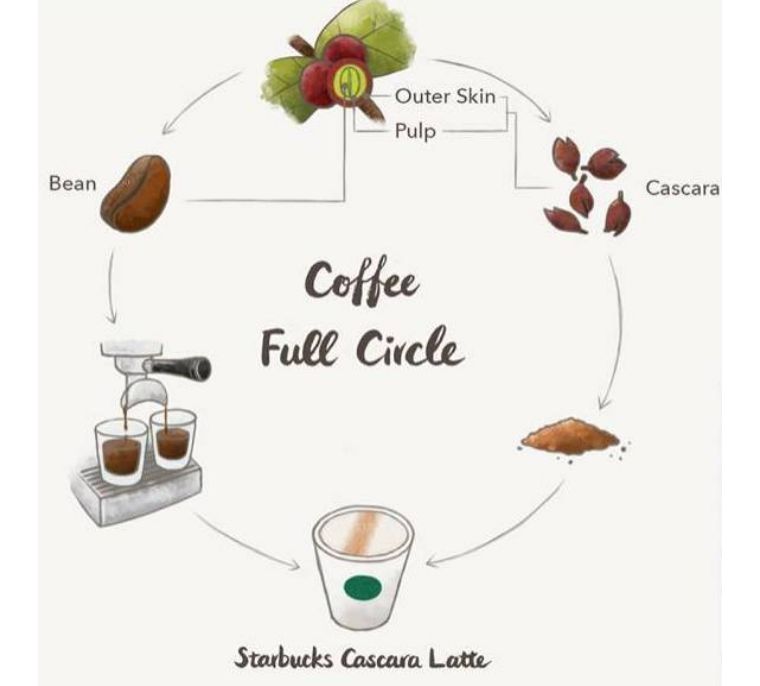咖啡浆果拿铁制作(注释6)