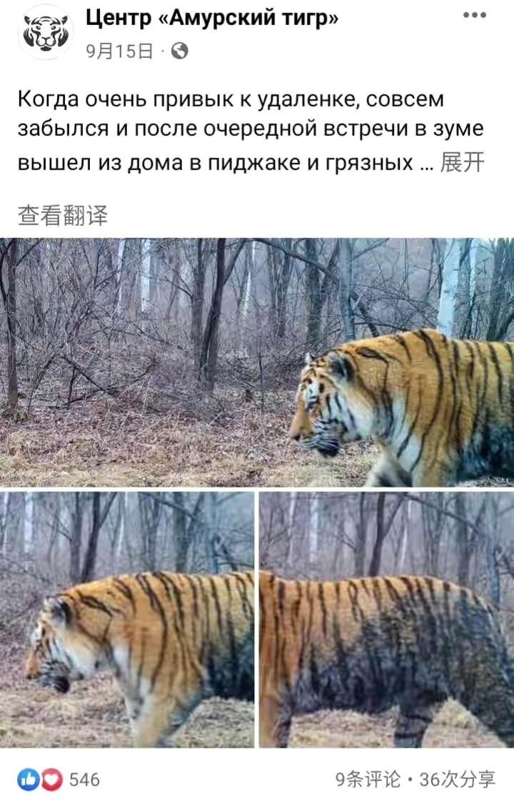4e20ed70d82b7d89f4b67f60495e3448c00a74db.jpg