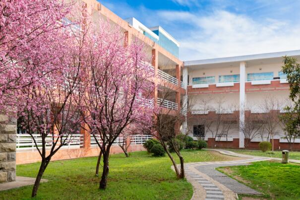 河南工业职业技术学院:从春天出发