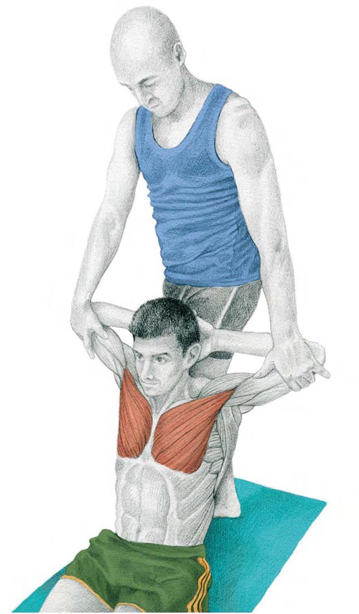 如何拉伸肩胛肌肉 4e507034c7ac6d67bf1e5900b9ac42550f3a14e0.jpg