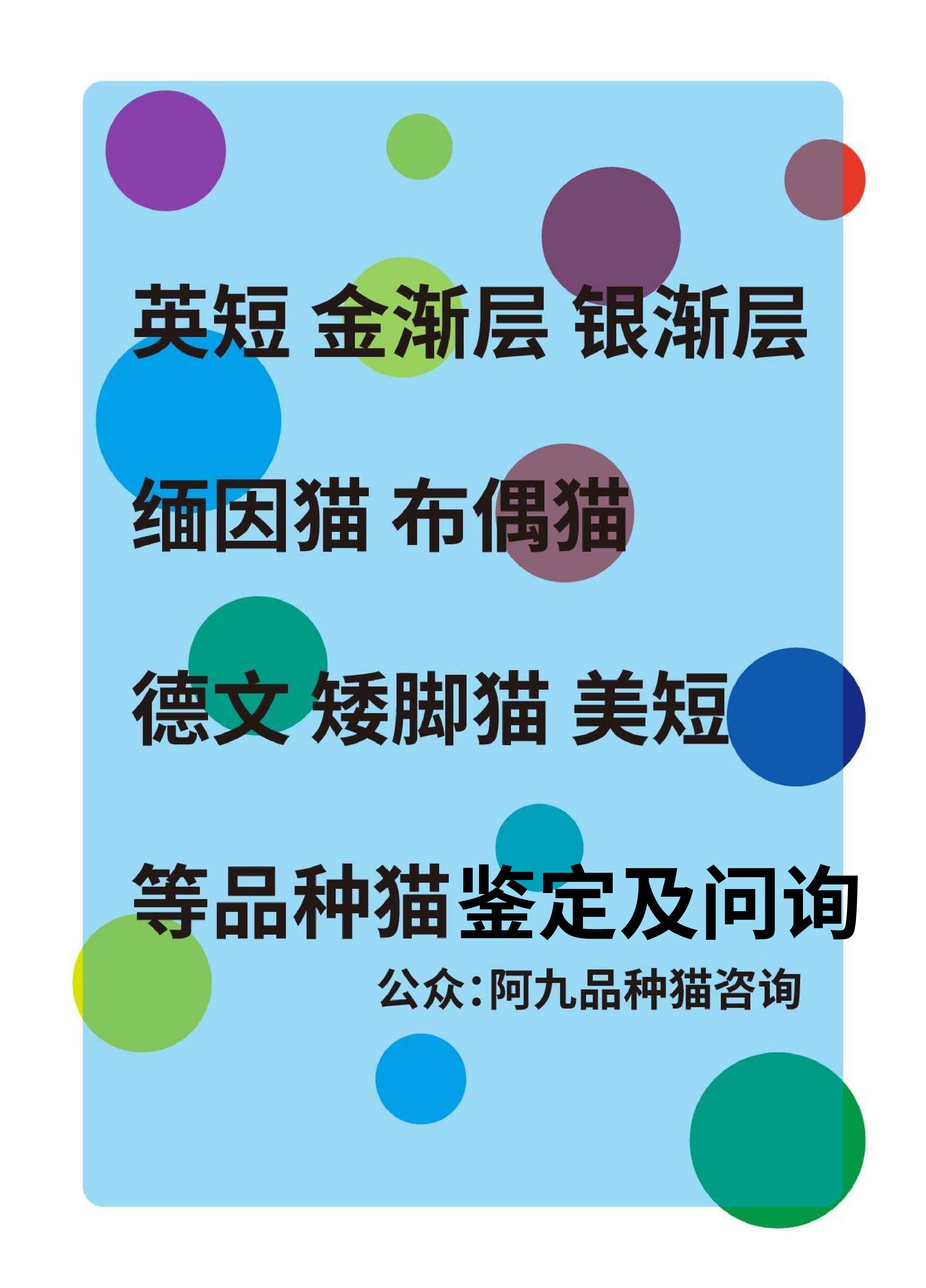 4e5ee649c755fc13cdaf0af3c71eb6337a635464.jpg