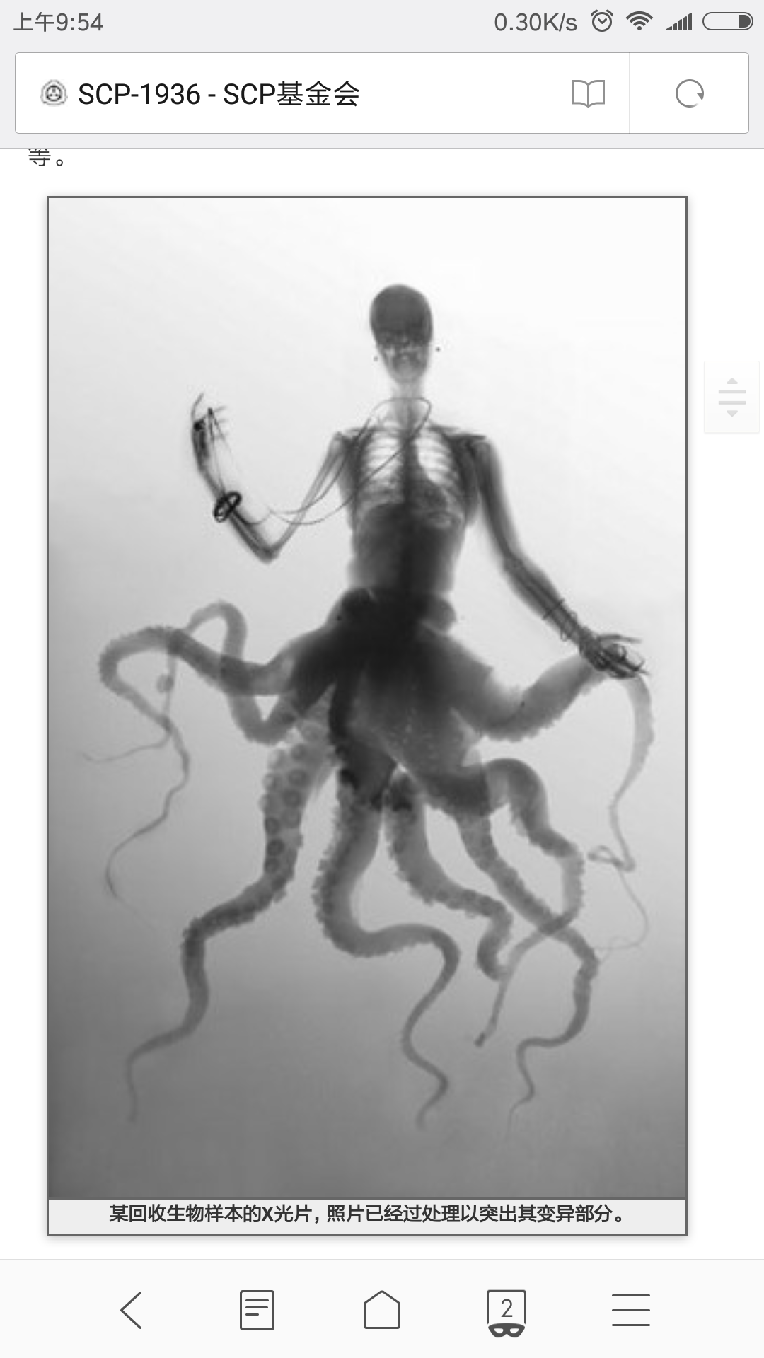 scp1936山谷港(转自scp基金会官网)