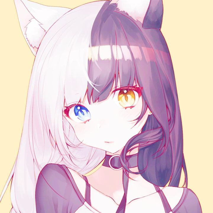 二次元女生高清无码壁纸头像