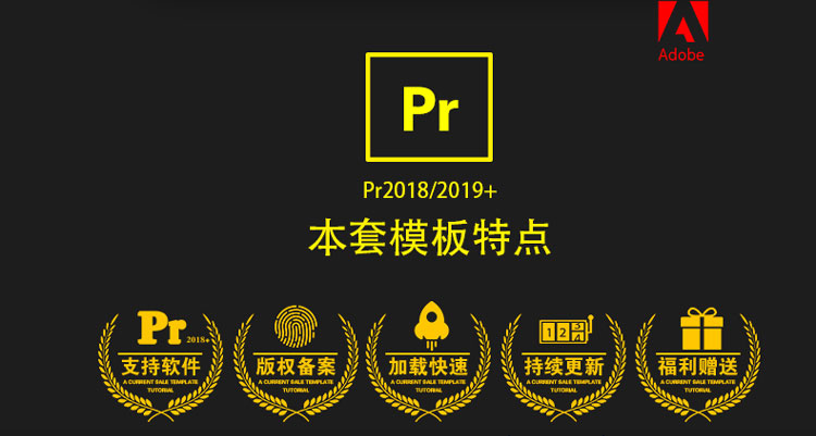 315+pr综艺vlog真人视频添加怎么为表情包动画秀表情可爱字幕模板预图片