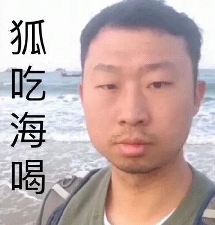 表情包 | 藏狐小亮系列