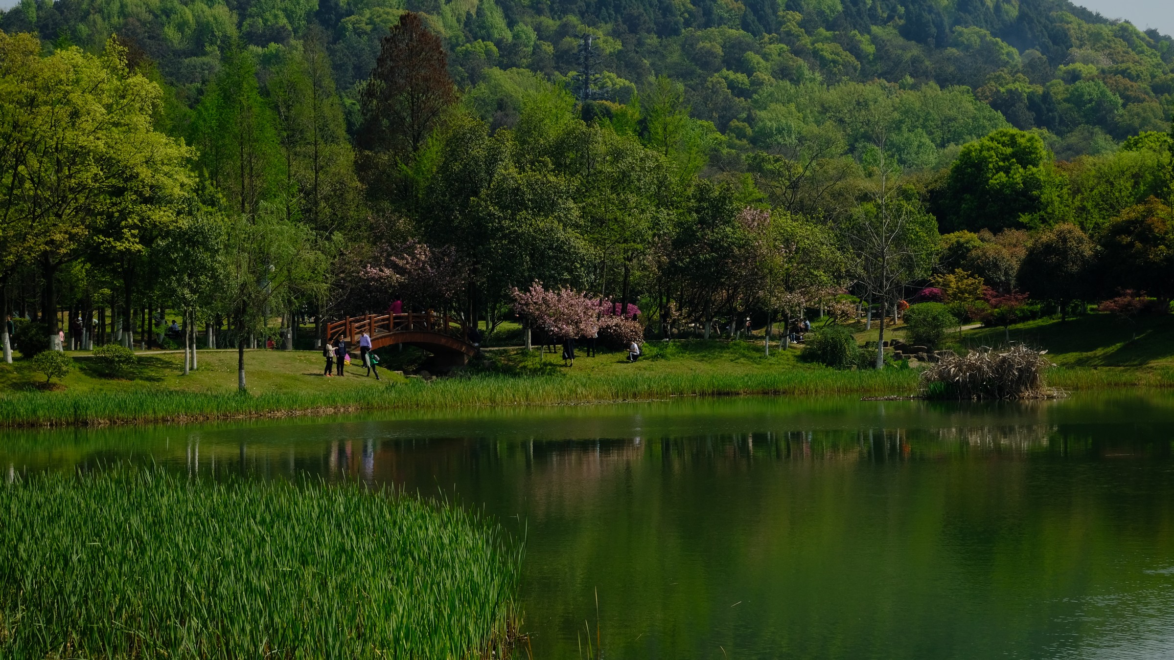 武汉马鞍山森林公园踏青