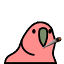 party · parrot 表情大赏