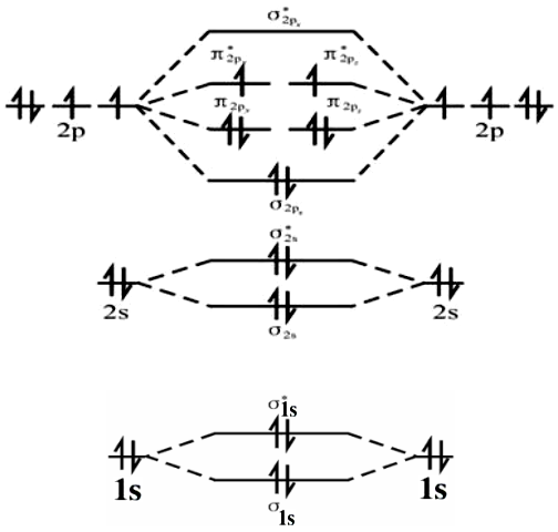 o2的分子轨道示意图