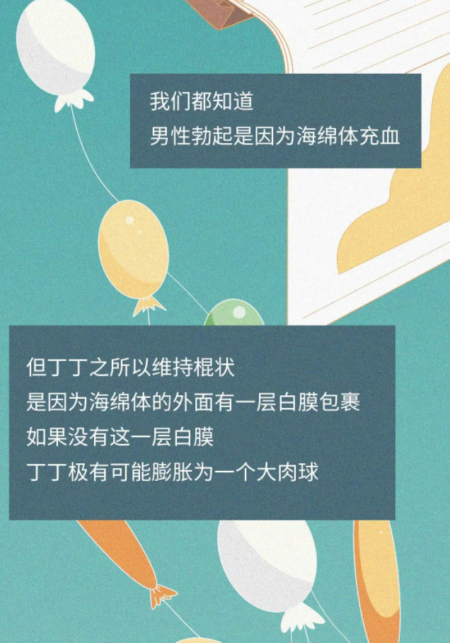 男性科普之不看会后悔系列:丁丁断了应该怎么办?