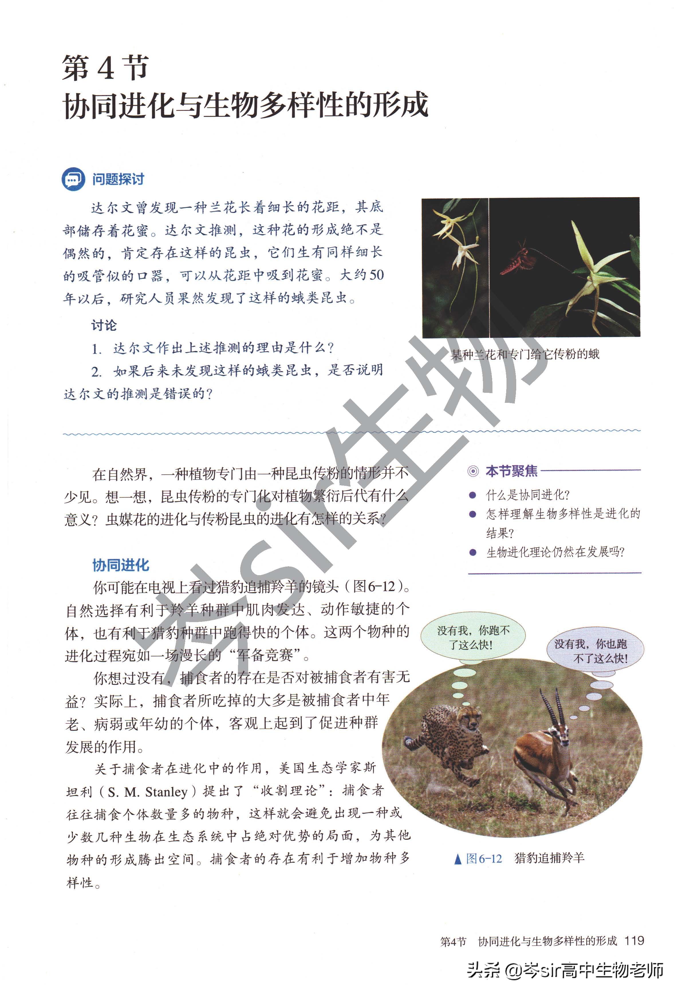 高中生物 新教材速读 2.6.4 协同进化与生物多样性的形成