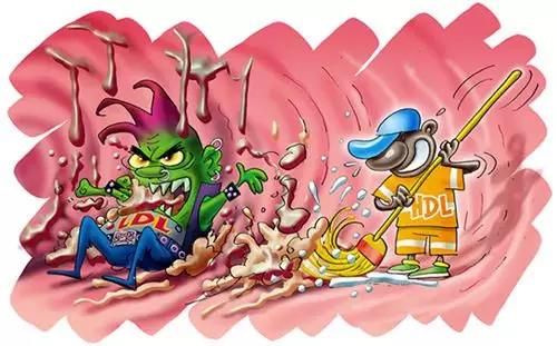 ldl-低密度脂蛋白,hdl-高密度脂蛋白