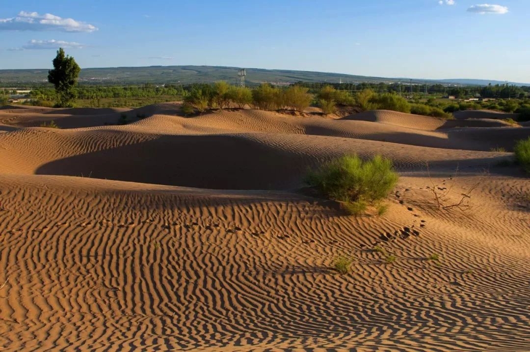 寸草不生的大沙漠