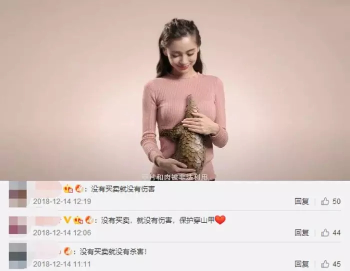baby拍公益广告呼吁"拒用穿山甲通乳", 因文案失误惹争议