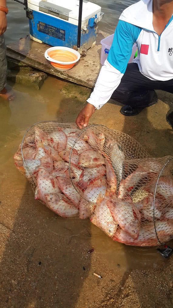 为什么钓鱼不能用动物肝 51e638421b810a81deb010ecee30b4ef65512176.jpg