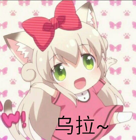 萌即是正义~猫咪日常表情包福利大放送,请带好医疗包!