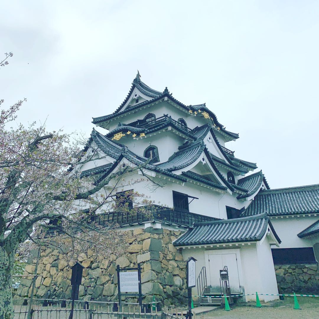 冈崎城作为松平元康的居城,在太阁4第一剧本出现(本人经常在第二剧本